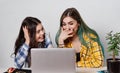 Two young student girls with laptops studying together at the table Royalty Free Stock Photo