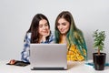 Two young student girls with laptops studying together at the table Royalty Free Stock Photo