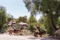 Two Young Tourists Horseback Riding Royalty Free Stock Photo