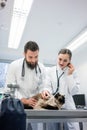 Two young veterinarian doctors examining a cat