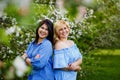 Two young women brunette and blonde plus size in a blooming garden enjoy nature and have fun. Apple orchard in spring Royalty Free Stock Photo