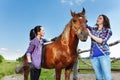 Two young women brushing bay horse at the farm Royalty Free Stock Photo