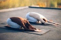 Two young women doing yoga asana child`s pose on the roof outdoo Royalty Free Stock Photo