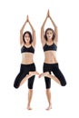 Two young women doing yoga asana tree pose. Vrikshasana