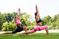 Two young women practice yoga in summer park. Slender caucasian girls in pink-black bodysuits doing exercises to