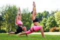 Two young women practice yoga in summer park. Slender caucasian girls in pink-black bodysuits doing exercises to