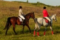 Two young women riding horse in park. Horse walk in summer Royalty Free Stock Photo