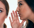 Close up shot of two young women sharing their secrets, studio shot. Royalty Free Stock Photo