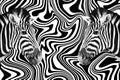 Two Zebras on Abstract Black and White Background Royalty Free Stock Photo