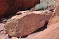 Twyfelfontein engravings,Namibia Royalty Free Stock Photo