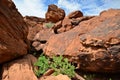 Twyfelfontein,Namibia Royalty Free Stock Photo