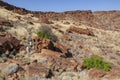 Twyfelfontein - Namibia - Africa