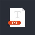 Txt file icon. Text Format file icon. Vector Royalty Free Stock Photo