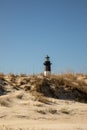 Tybee Island Lighthouse over dunes Royalty Free Stock Photo