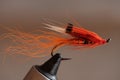 Tying a classic salmon wet fly, Ally`s Shrimp