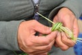 Tying a knot of sweet grass strands.