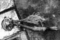 tying ring for boats with a broken rope in the black and white Royalty Free Stock Photo