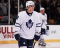Tyler Bozak Toronto Mapleleafs Royalty Free Stock Photo