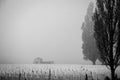 Tyne Cot Cemetary Royalty Free Stock Photo