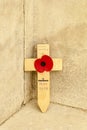 Tyne cot cemetery poppy flanders fields world war one Royalty Free Stock Photo