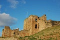 Tynemouth castle Royalty Free Stock Photo