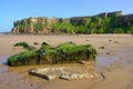 King Edward`s Bay beach and Tynemouth Priory and Castle in the background on a warm summer afternoon