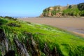 Tynemouth Long Sands on the North East Coast of England pictured on a warm autumn morning Royalty Free Stock Photo