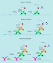 3 type ELISA in science laboratory Royalty Free Stock Photo