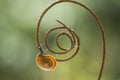 Snail on Unique Branch in forest