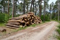 Type on a stack of pine logs at the forest road. Wood procurement