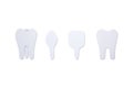 Type of tooth incisor, canine, premolar, molar