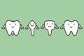 Type of tooth, incisor, canine, premolar, molar