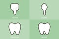 Type of tooth incisor, canine, premolar, molar