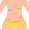 Types of abdominal pain in women, location of bali in the human body
