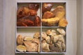 Types of amber at the Amber Museum, Kaliningrad city, Russia