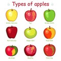 Types of apples