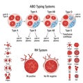 Types: A, B, AB, and O, with corresponding antigens and antibodies. Type Royalty Free Stock Photo