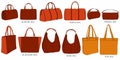 Types of bags. Coloring set of stylish bulky women`s bags.