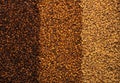 3 types of barley malt for beer. Royalty Free Stock Photo
