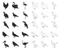 Types of birds black,outline icons in set collection for design. Home and wild bird vector symbol stock web illustration Royalty Free Stock Photo