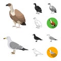 Types of birds cartoon,black,flat,monochrome,outline icons in set collection for design. Home and wild bird vector Royalty Free Stock Photo