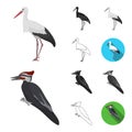 Types of birds cartoon,black,flat,monochrome,outline icons in set collection for design. Home and wild bird vector Royalty Free Stock Photo