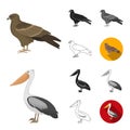 Types of birds cartoon,black,flat,monochrome,outline icons in set collection for design. Home and wild bird vector Royalty Free Stock Photo