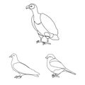 Types of birds outline icons in set collection for design. Home and wild bird vector symbol stock web illustration. Royalty Free Stock Photo