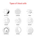 Types of blood cells. Vector icon set Royalty Free Stock Photo