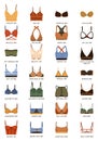 Types of bras. Big vector set of lingerie.