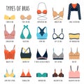 Types of bras. Big vector set of colorful lingerie