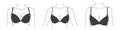 Types of bras. Collection of lingerie. Women`s underwear. Vector illustration