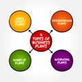 4 Types of Business Plans - very short, or miniplans, presentation plans or decks, working plans, and what-if plans, mind map