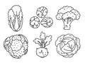 Types of cabbage. Vegetable sketch. Thin simple outline icon. Black contour line vector set. Doodle hand drawn illustration Royalty Free Stock Photo